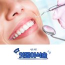 세브란스치과 티스토리
