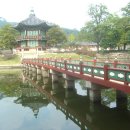 고향풍년 이미지