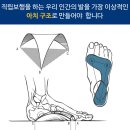 뷰티풀건강