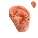 (주)진산메디칼 이미지