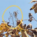 숲놀이 지도사 이미지