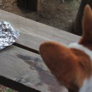 서창캠핑장 이미지