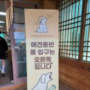 해비알 | 태안 애견동반식당 안면도 해비알꽃게 강아지식당 후기