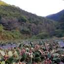 청옥산분말 이미지