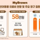 브라운동물병원 아주경제