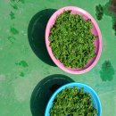 야산농장 이미지