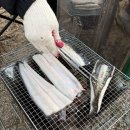 이동레포츠공원 족구장 | 광주 근교 노지캠핑, 광주 차박추천, 함평앵두공원, 최근 후기, 캠핑 장어 판매하는 곳