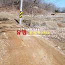 원선농장 이미지