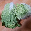 강사3리경로당 이미지