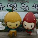 유영농장 이미지