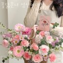 꽃닮 이미지