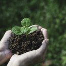 푸른환경자원 이미지