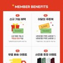 북부띠끄