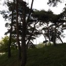 동오정 | 오인교의 전라도누정기행-장성 관불암(觀佛庵) 누각