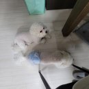 진희슈퍼 이미지