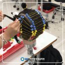헤어가나 이미지