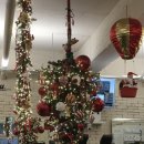 브라운크리스탈PT샵 | 광주 운암동 크리스탈핏 여자 전용 pt샵 후기