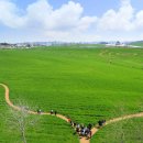 마동동사무소 이미지