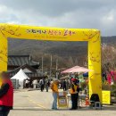 27 | [나들이] 2026 제27회 이천 백사 산수유축제 짧은 후기
