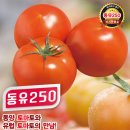 동유 농촌여성신문