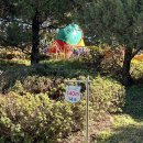 파인파골프클럽 이미지