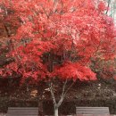 장태기드림산부인과의원 이미지