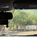 독채팬션멜로디 | 귀래630 원주 반독채펜션 독채로 쓴 후기