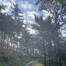 들꽃효소마을 | 남해 단식원 다녀온 이야기💛(솔직후기 및 추천하는 이유!!)