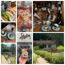 (용산)에서 외국감성데이트코스ꢭ 용산데이트코스 이대로만 따라와)(