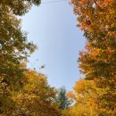 비산로3길-4 이미지