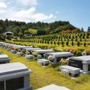 강원장의사 이미지