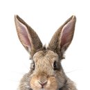 사마리아한의원 이미지