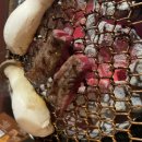 인계4거리 이미지