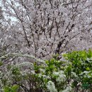 플래닛 주 플레이를 위한 PC 사양 및 견적