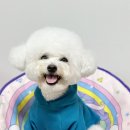 청담패션커피학원 네이버블로그