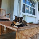 어라운드빌리지 이미지