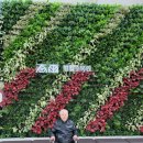 (주) 대호메디칼 이미지