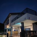 스테이 댕댕 이미지