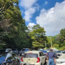 청계 맑은숲공원 | [청계산맑은숲공원] 아기랑 방문 후기 경기도 의왕시 가볼만한 곳(feat 청계사)