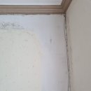 유토피아 아파트 이미지