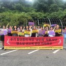 (주)한국의료영상 엠네스티