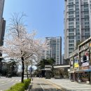 봄날축산