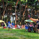 송호관광지 이미지