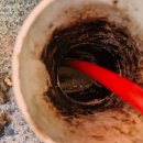 오조산로 이미지