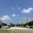 건지산도토리 이미지