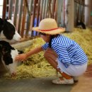 농촌목장 이미지