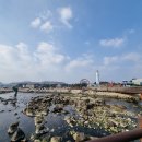 매화보건진료소 | 해파랑길 15코스를 다녀오다.