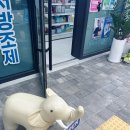 365열린온약국 이미지