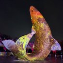 계양 아라온 축제 야경 이미지