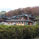 김수련 Daum카페